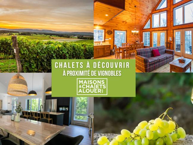 Chalets à découvrir à proximité de vignobles